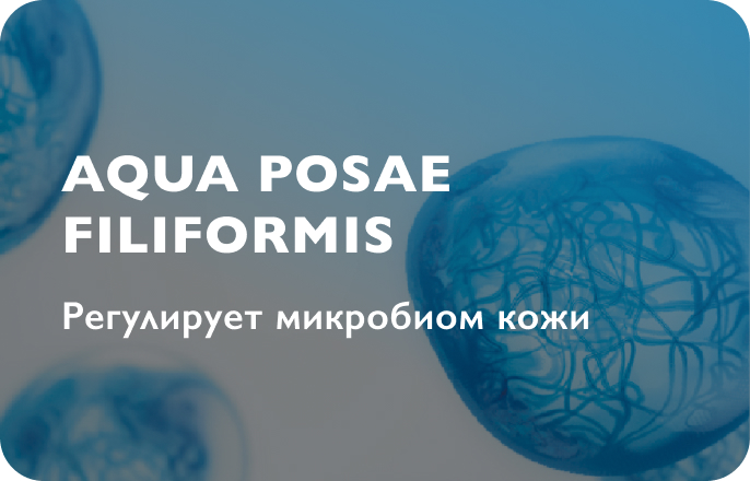 Aqua posae filiformis